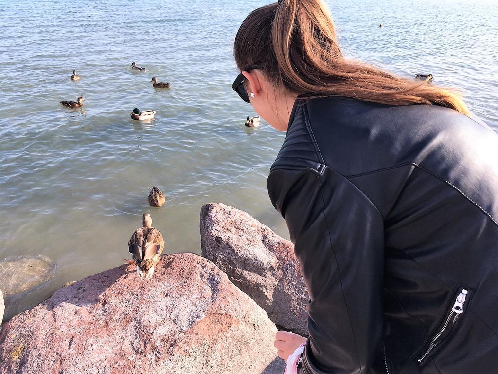 Tulipan Apartman Balatonalmadi Luaran gambar